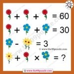 Flower Math Equation Picture Puzzle for Students with Answer – Puzz108