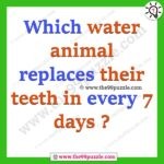 Which water animal replaces their teeth in every 7 days? – Ridd108