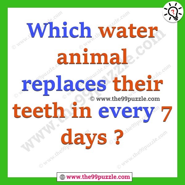 Which water animal replaces their teeth in every 7 days?