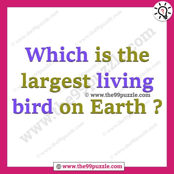 Which is the largest living bird on Earth?