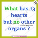 What has 13 hearts but no other organs? – Ridd111
