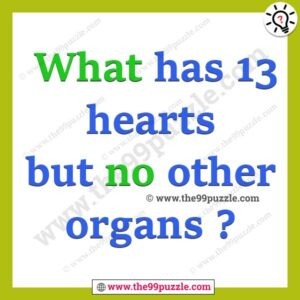 What has 13 hearts but no other organs?
