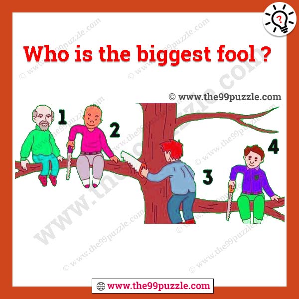 Who is the biggest fool?