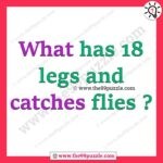 What has 18 legs and catches flies? – Ridd118