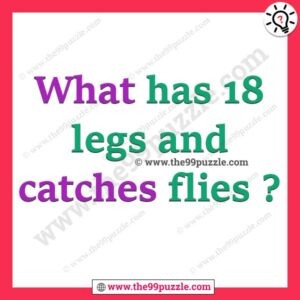What has 18 legs and catches flies? – Ridd118