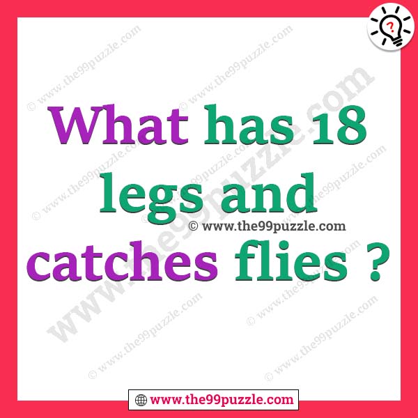 What has 18 legs and catches flies?