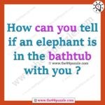 How can you tell if an elephant is in the bathtub with you? – Ridd122