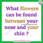 What flowers can be found between your nose and your chin? – Ridd130