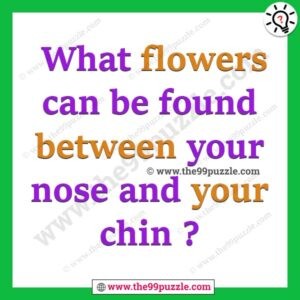 What flowers can be found between your nose and your chin? – Ridd130