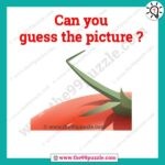 Can you guess the picture? – Puzz212