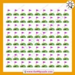 Can you find the odd picture? – Puzz217