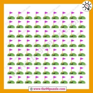 Can you find the odd picture? – Puzz217