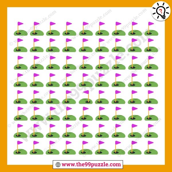 Can you find the odd picture?