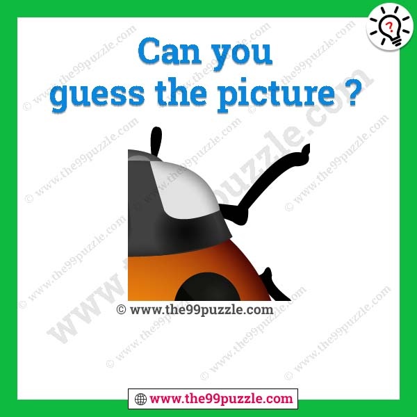 Can you guess the picture?