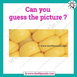 Can you guess the picture?