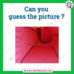 Can you guess the picture? – Puzz233