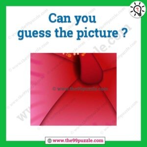Can you guess the picture?