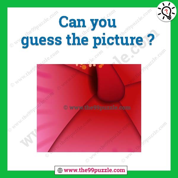 Can you guess the picture?