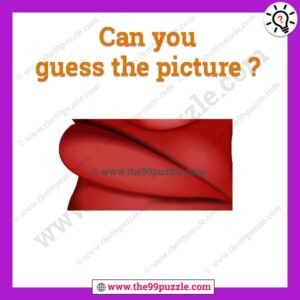 Guess picture puzzle for teens with answer