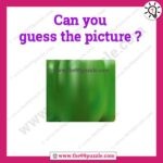 Can you guess the picture? – Puzz243