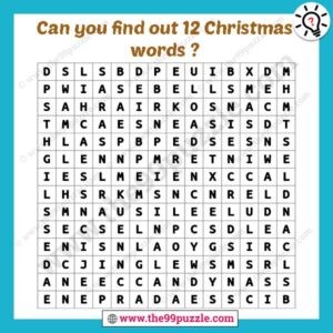 Can you find out 12 Christmas words puzzles?