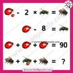 Bug, fly, bee puzzle picture equation with answer – Puzz287