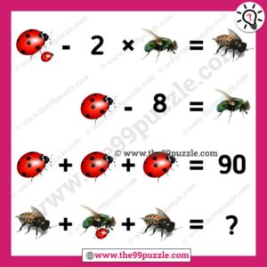 Bug, fly, bee puzzle picture equation with answer – Puzz287