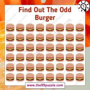 Optical Illusion Puzzle: Find out the odd burger in 8 sec