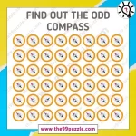 Optical Illusion IQ Test: Only 1% sharpest minds can find the odd compass in 12 seconds! – Puzz462