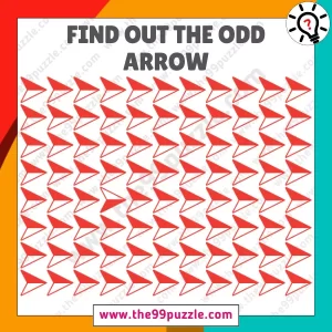 Odd One Out Challenge: Only 3 out of 10 can find the odd arrow in 6 seconds! – Puzz490